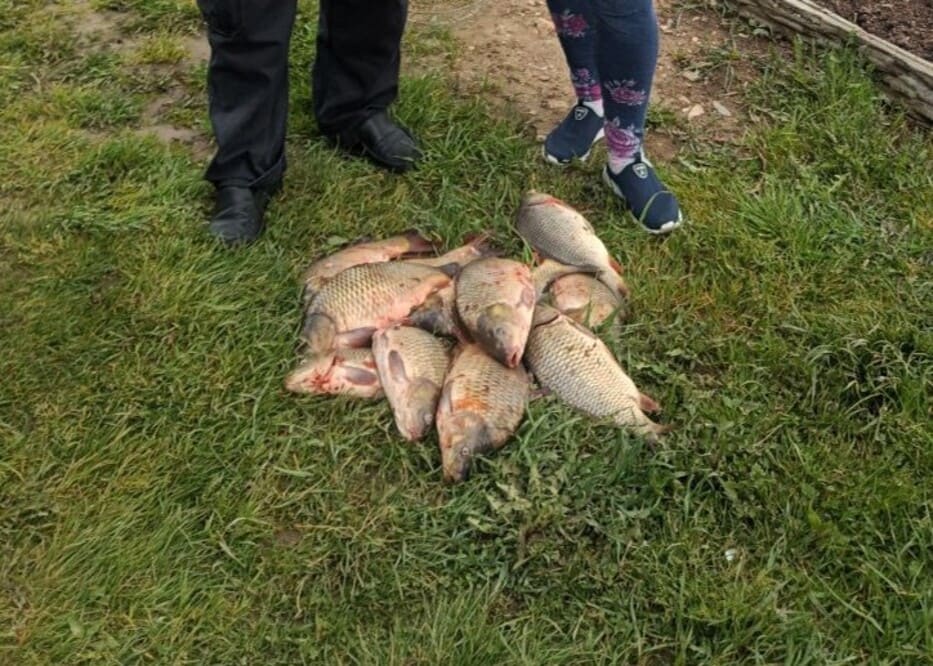 Аренда офиса  